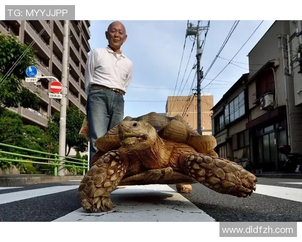 日本足球明星化身老人展现人生百态引发热议 日本足球明星化身老人展现人生百态引发热议