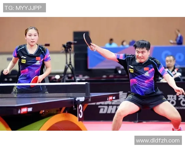 杭州乒乓球队在总决赛中的耐力表现分析与启示 杭州乒乓球队在总决赛中的耐力表现分析与启示